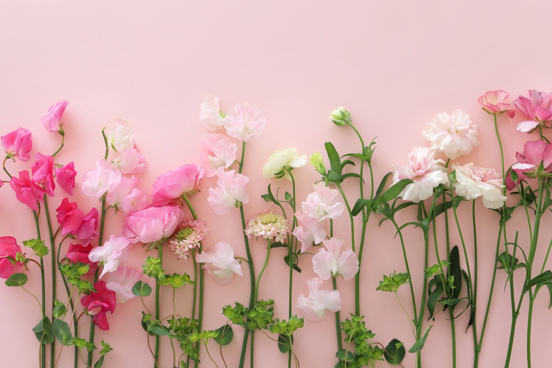 生花